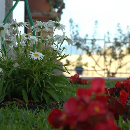 Emma * 卡斯特拉巴特